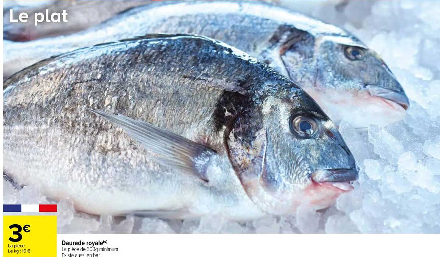 Daurade Royale