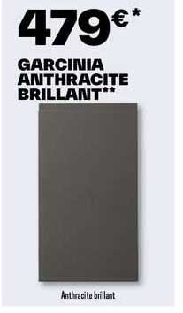 garcinia anthracite brillant