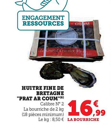 Huître Fine De Bretagne "prat Ar Coum"