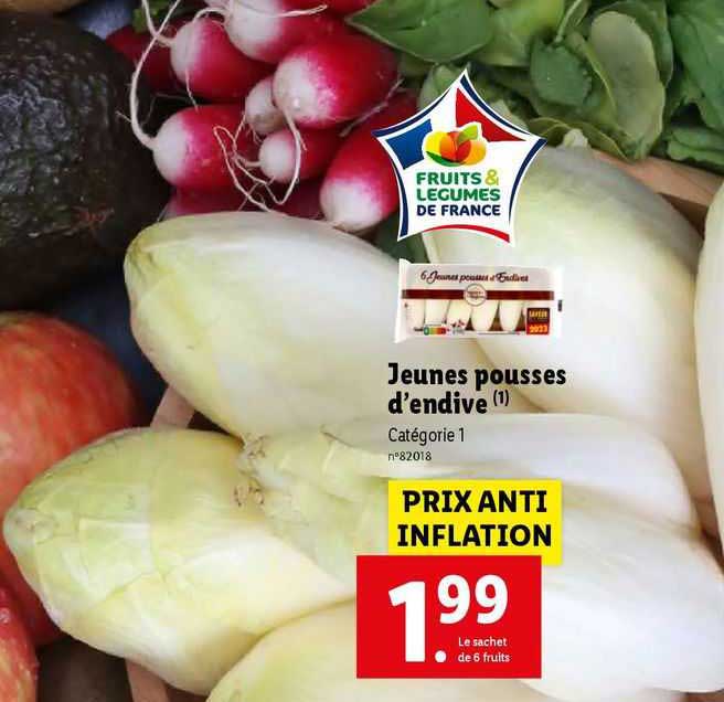 jeunes pousses d'endive