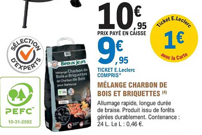 Mélange Charbon De Bois Et Briquettes Beaux Jours
