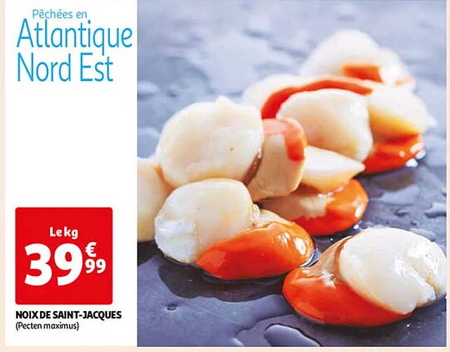 noix de saint-jacques