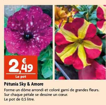 pétunia sky & amore