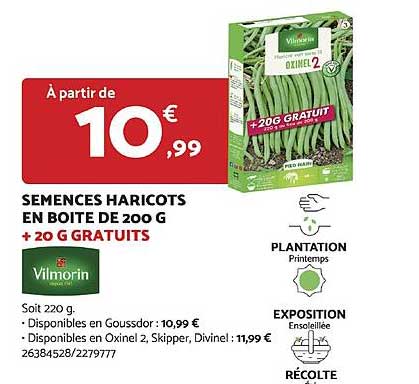 semences haricots en boîte de 200 g + 20 g gratuits vilmorin
