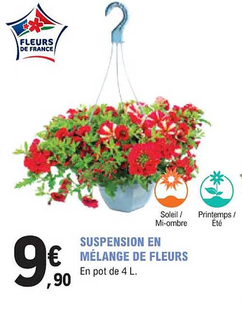 Suspension En Mélange De Fleurs