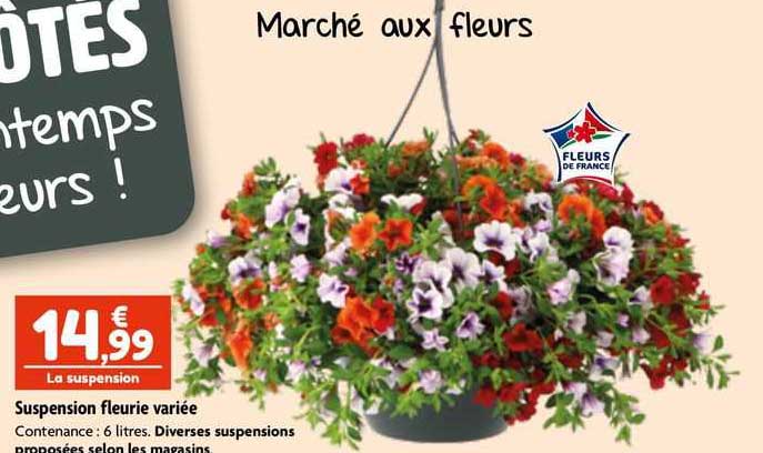 suspension fleurie variée