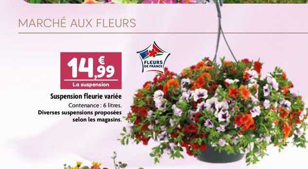 Suspension Fleurie Variée