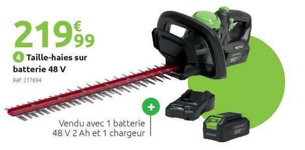 taille-haies sur batterie 48 v