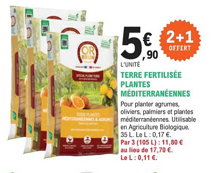 terre fertilisée plantes méditerranéennes or brun