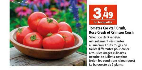 tomates cocktail crush, rose crush et crimson crush