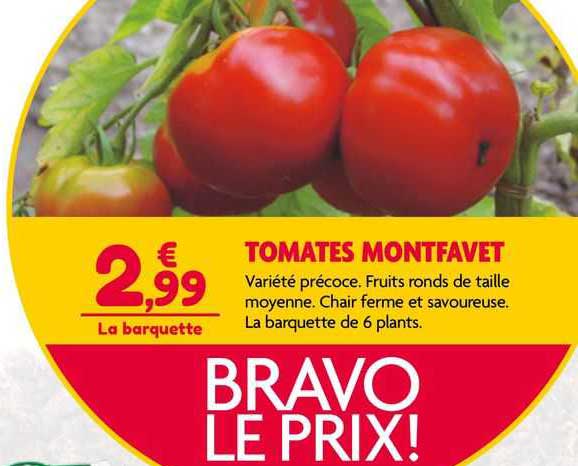 tomates montfavet