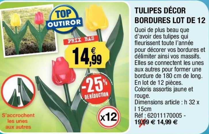 tulipes décor bordures lot de 12
