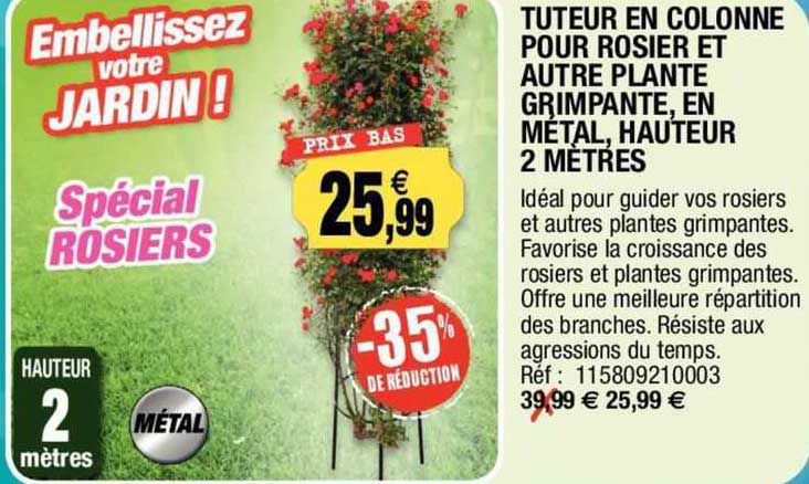 Tuteur En Colonne Pour Rosier Et Autre Plante Grimpante, En Métal, Hauteur 2 Mètres