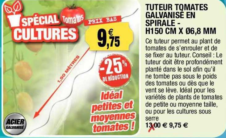 tuteur tomates galvanisé en spirale - h150 cm x ø6,8 mm