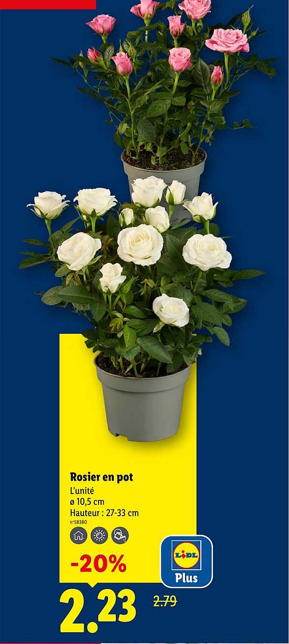 Sitemapcdatahttpsshopinf Inetcomarche Rosier Lidl