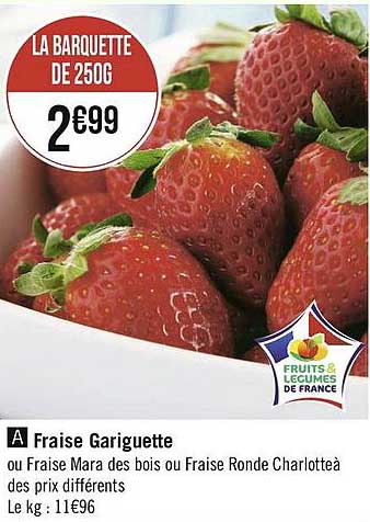 fraise gariguette