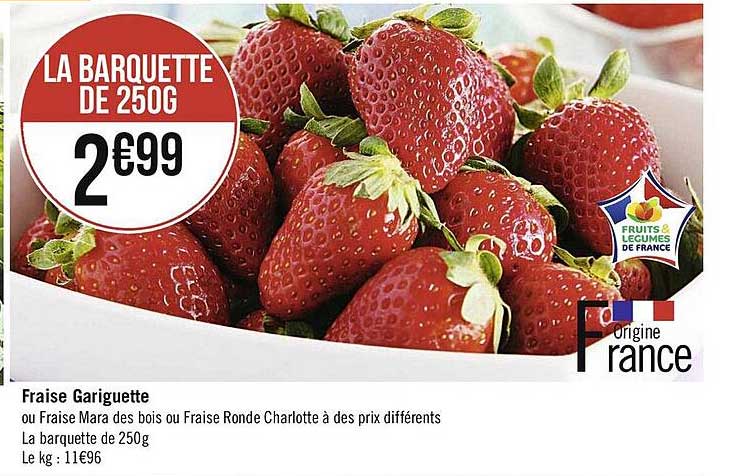 fraise gariguette
