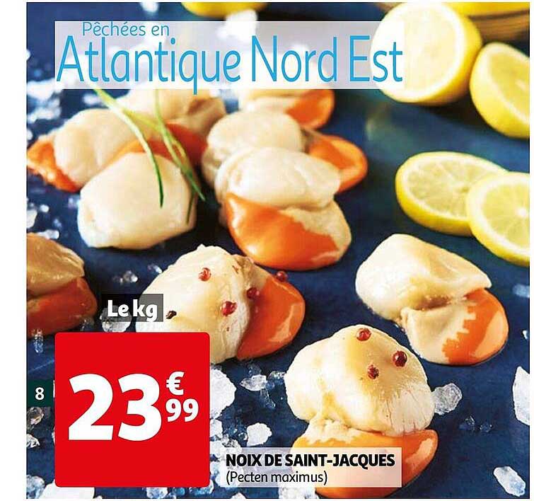 noix de saint-jacques