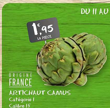 artichaut camus