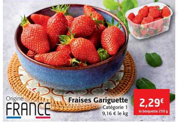 fraises gariguette