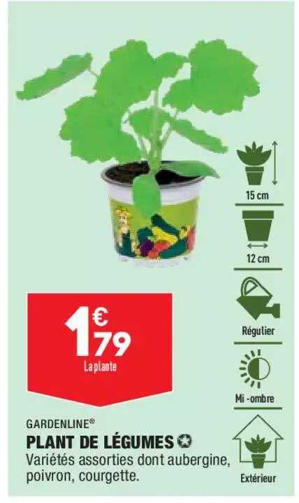 plant de légumes gardenline