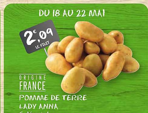 Pomme De Terre Lady Anna
