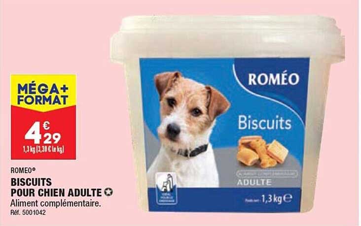 biscuits pour chien adulte roméo