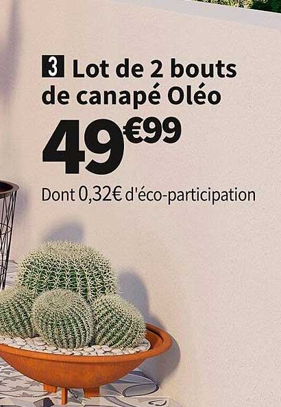 lot de 2 bouts de canapé oléo