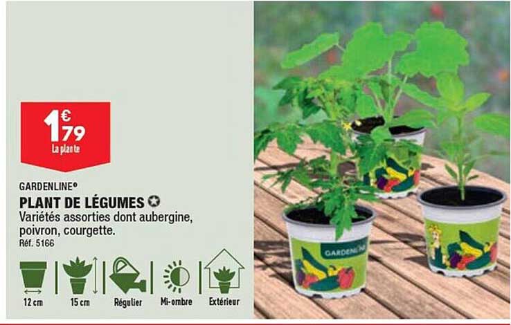 plant de légumes gardenline