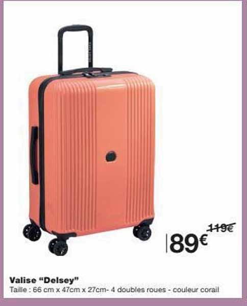 valise "delsey"