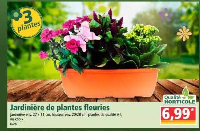 jardiniére de plantes fleuries