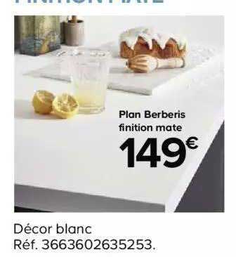 plan berberis finition mate
