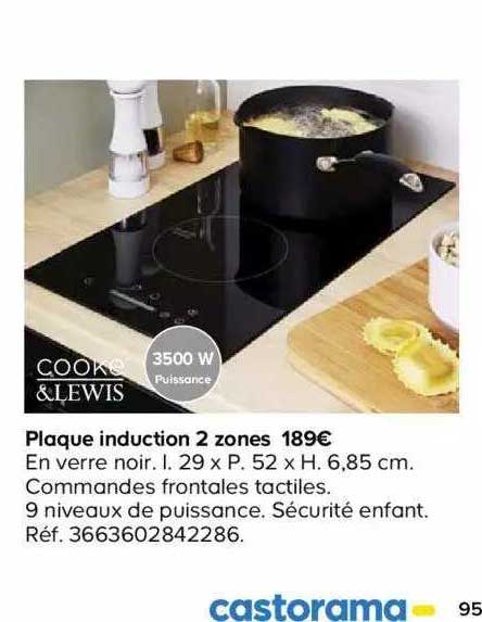 plaque induction 2 zones