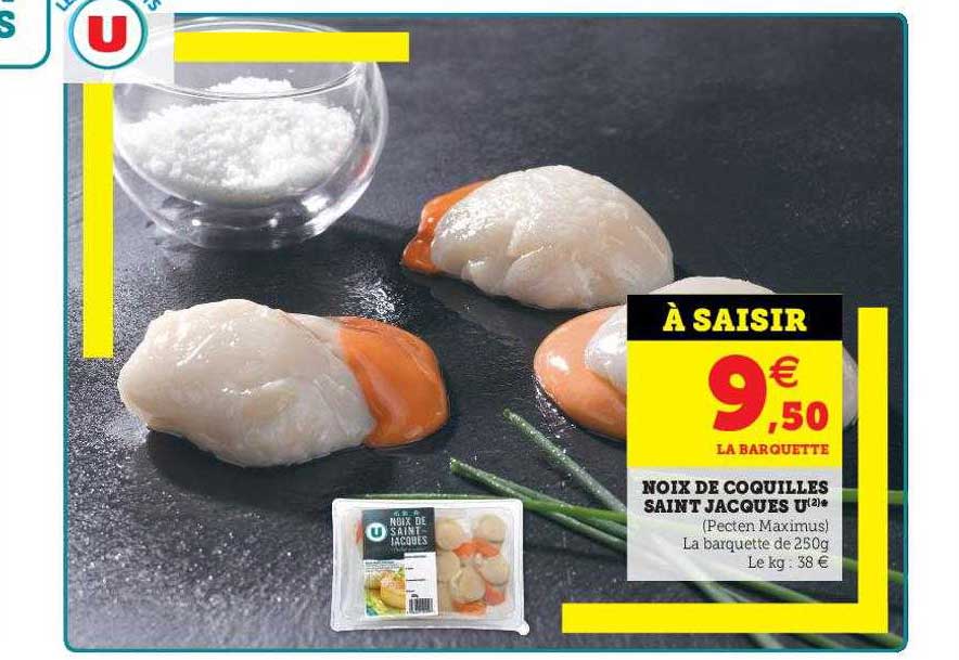noix de coquilles saint jacques u