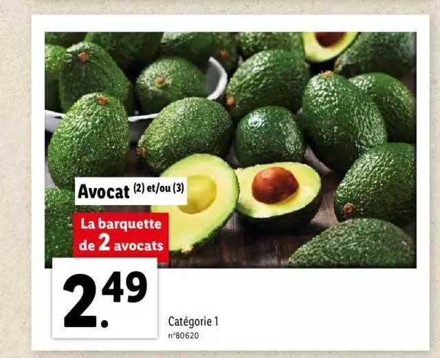 Avocat