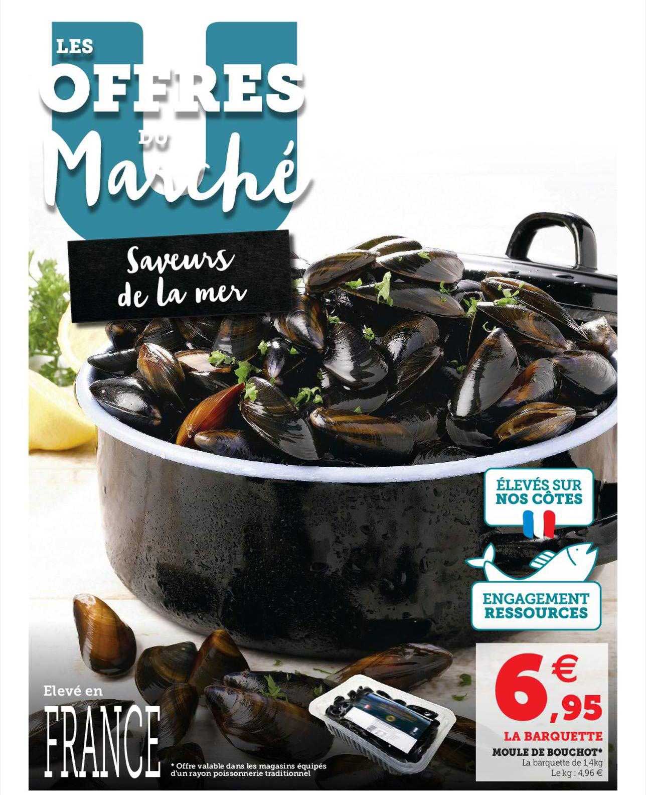 Moule De Bouchot