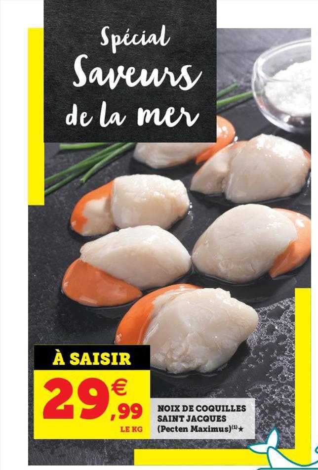 noix de coquilles saint jacques