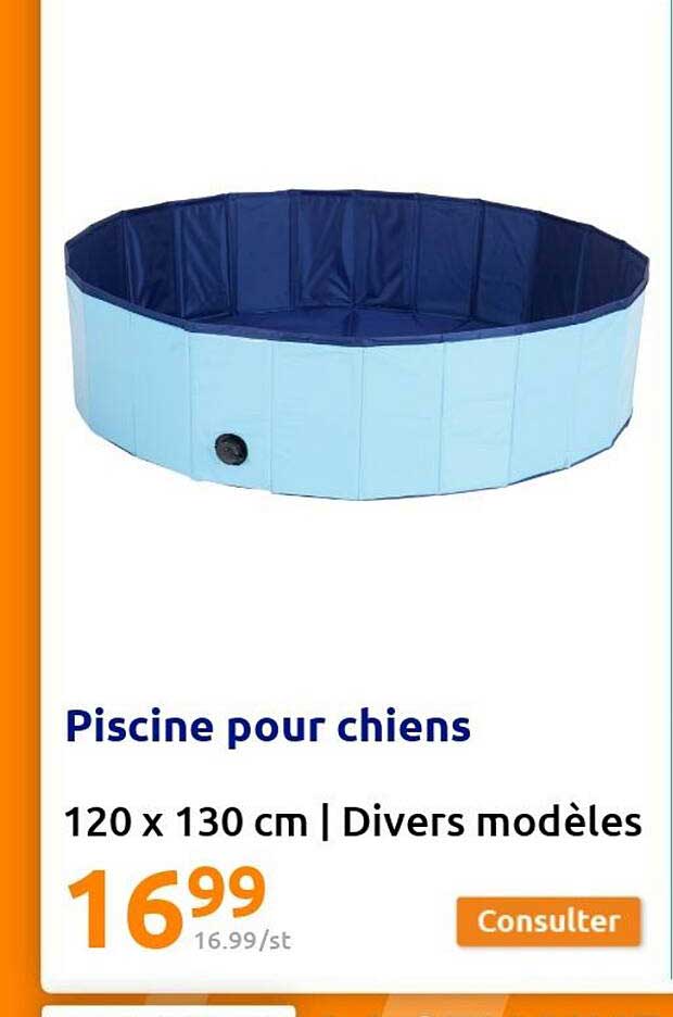 Piscine Pour Chiens