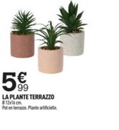 la plante terrazzo