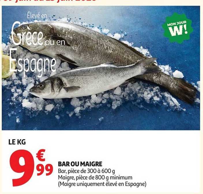 Bar ou Maigre