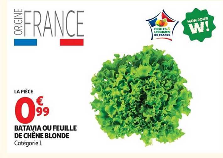 BATAVIA OU FEUILLE DE CHÊNE BLONDE