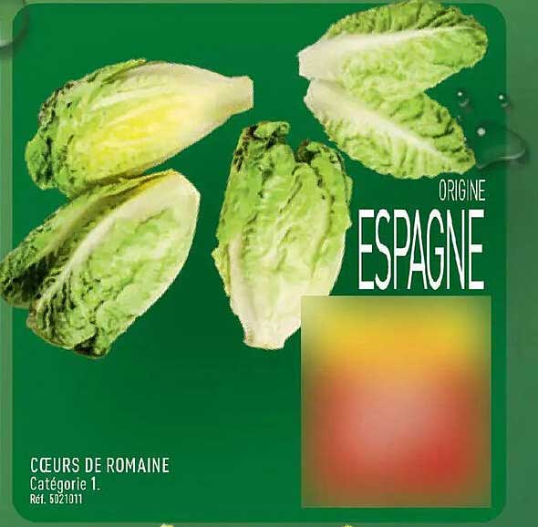 CŒURS DE ROMAINE