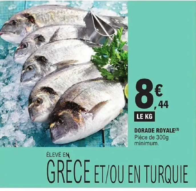 DORADE ROYALE