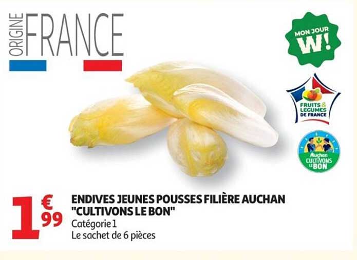 ENDIVES JEUNES POUSSES FILIÈRE AUCHAN