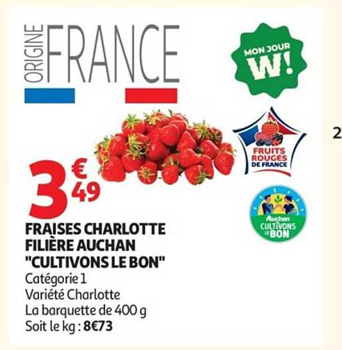 FRAISES CHARLOTTE