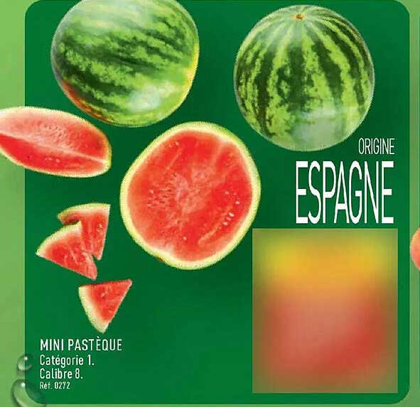 MINI PASTÈQUE CATÉGORIE 1