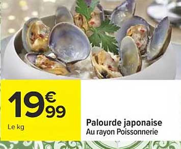 Palourde japonaise