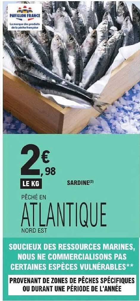 PÊCHÉ EN ATLANTIQUE