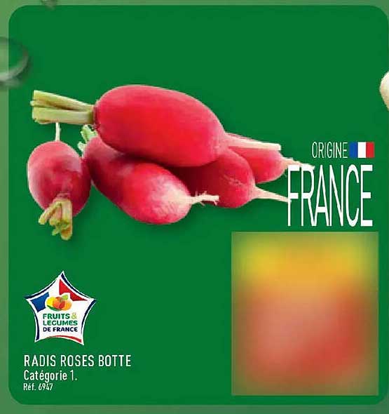 RADIS ROSES BOTTE