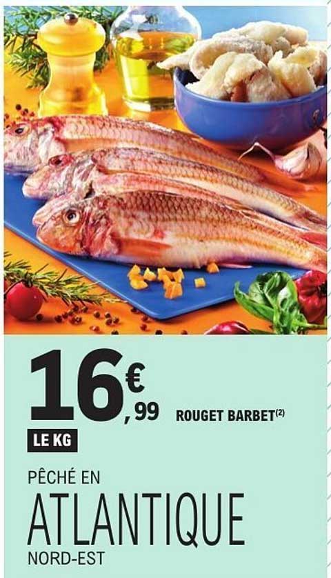 ROUGET BARBET